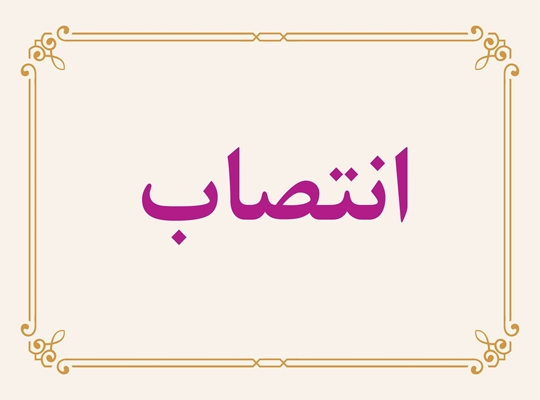 تأکید مدیرعامل بر نقش راهبردی «بازرسی» در افزایش رضایت و اعتماد ذی‌نفعان